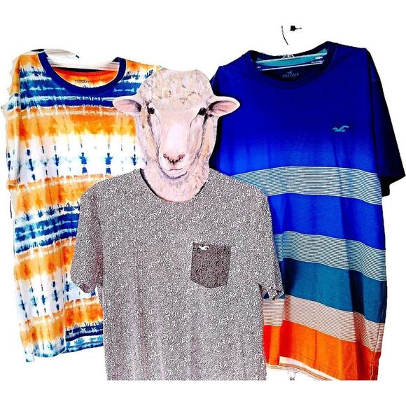 Back to School Special! Three (3) Hollister Adult Size Small T Shirts Boys Large - Picture 1 of 13